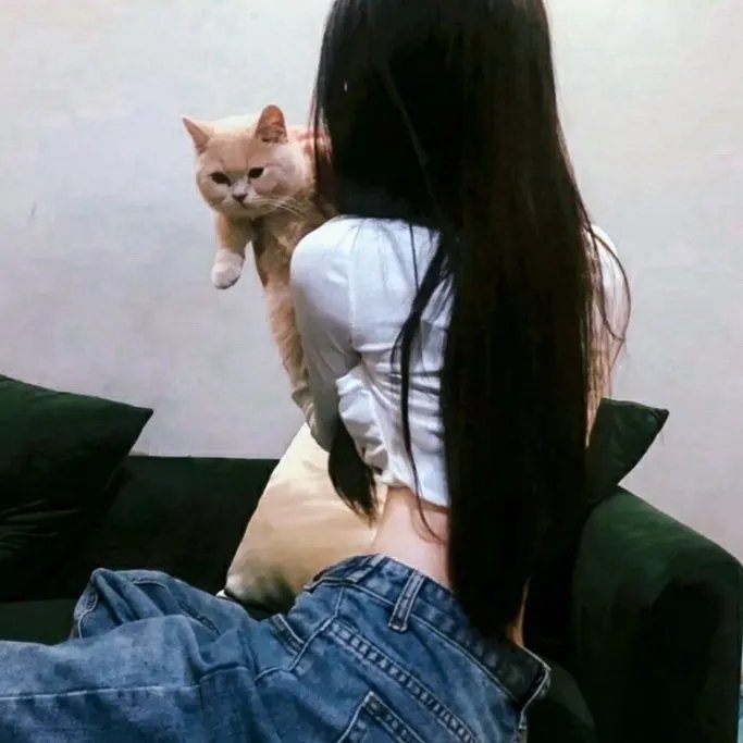 非洲城的后裔