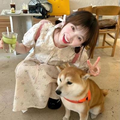 家有虎妻
